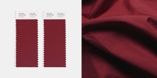 PANTONE ® COTTON SWATCH CARD in 2801 UNIQUE COLORS, cut into 2 STRIPS, double-layered, 5 cm x 11 cm each...